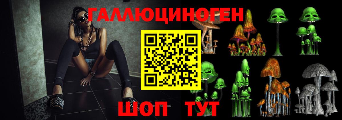 Галлюциногенные грибы GOLDEN TEACHER Новоуральск