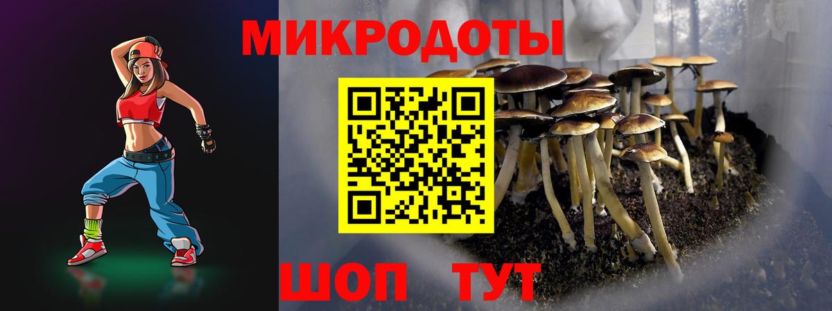 Новоуральск  цена   Вход с VPN  Псилоцибиновые грибы Cubensis 