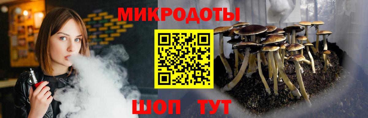 Псилоцибиновые грибы мицелий  Псилоцибиновые грибы Psilocybe  Новоуральск 